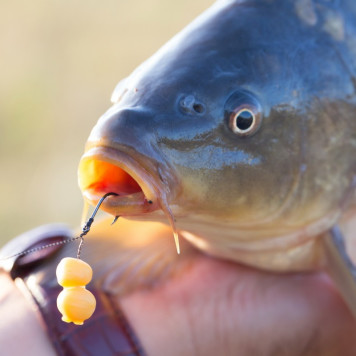 Крючки Carp Pro Black Nickel Wide Gape Classics-2